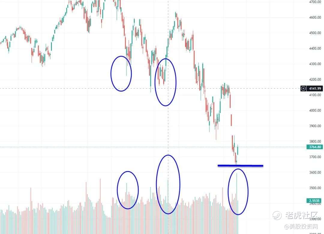 美股反弹只是“死猫跳”？技术面和消息面的分歧_老虎社区_美港股上老虎- 老虎社区