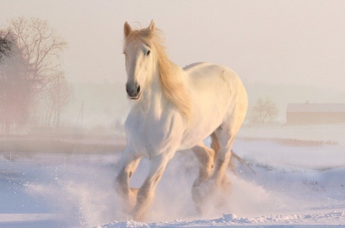 开始新手村训练