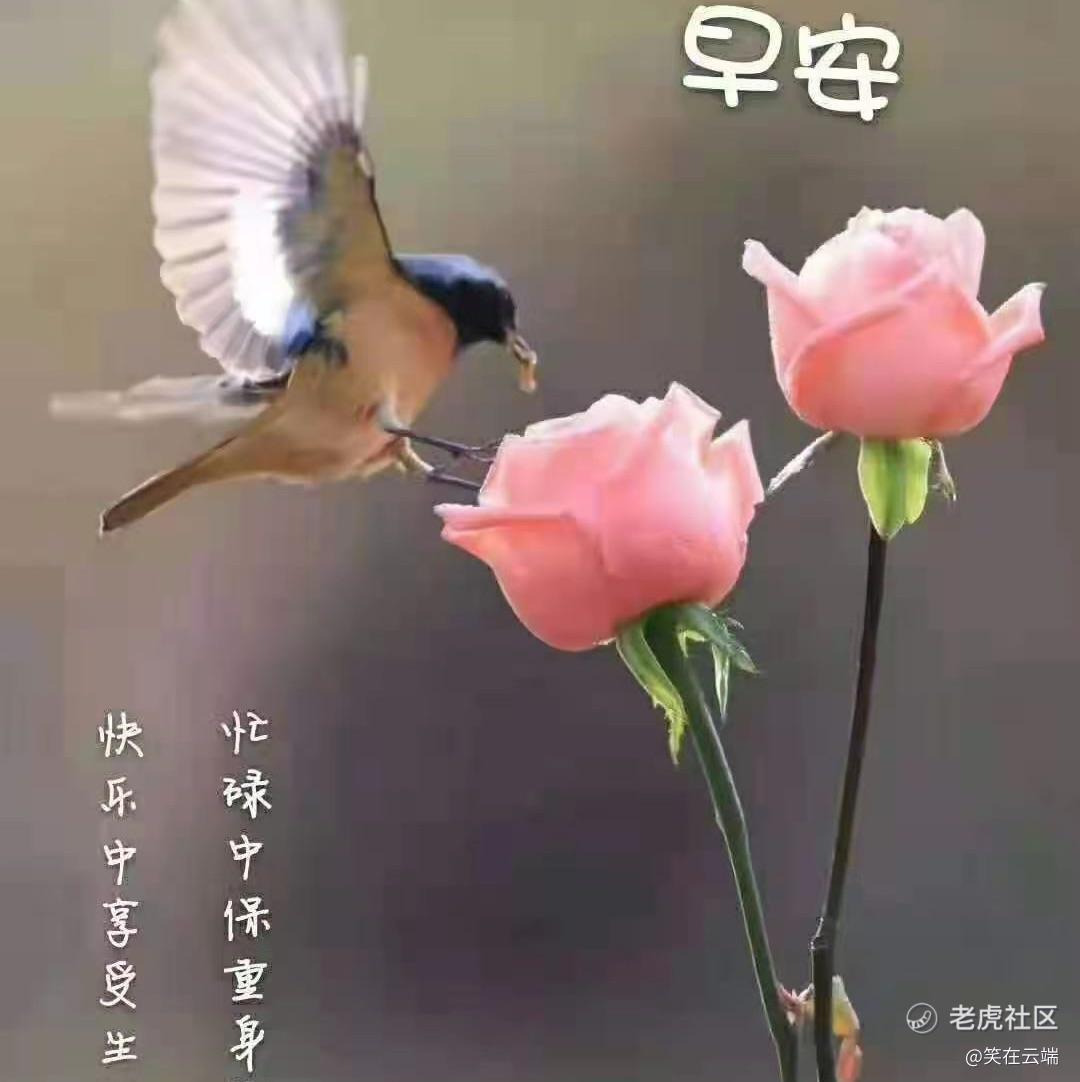 笑在云端
