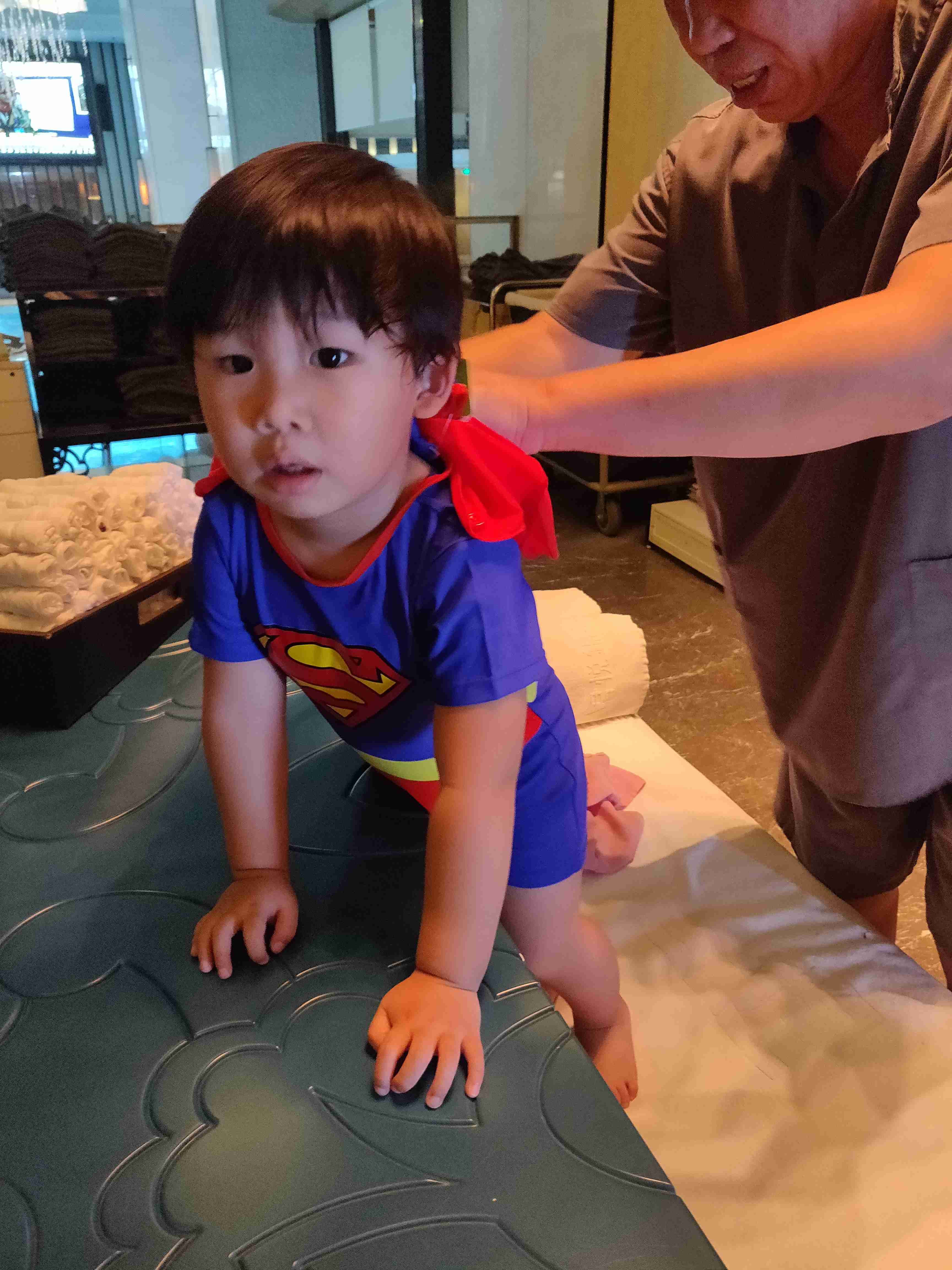 懒猫他爹