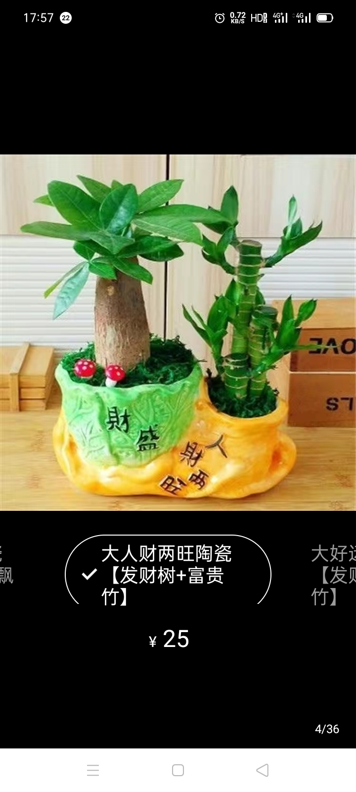 仰望星辰