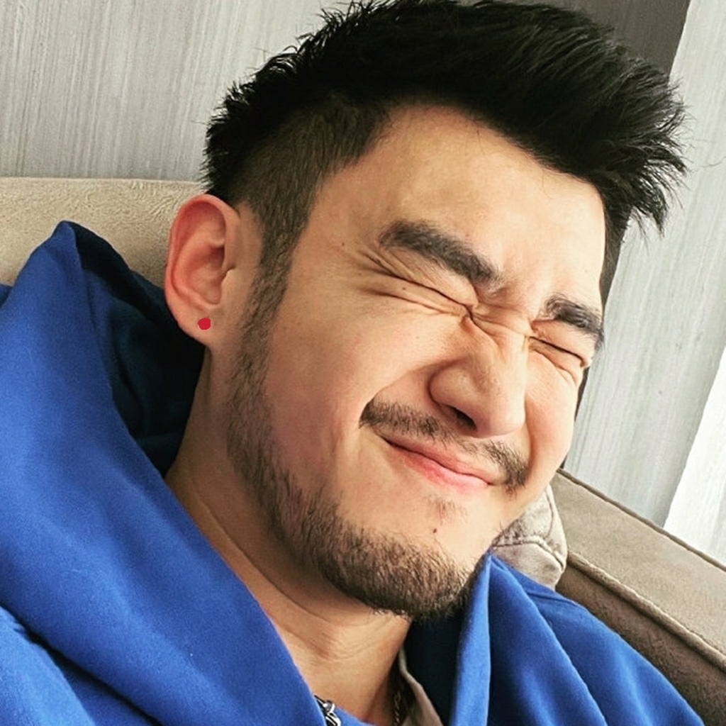 冰冻的小丑鱼