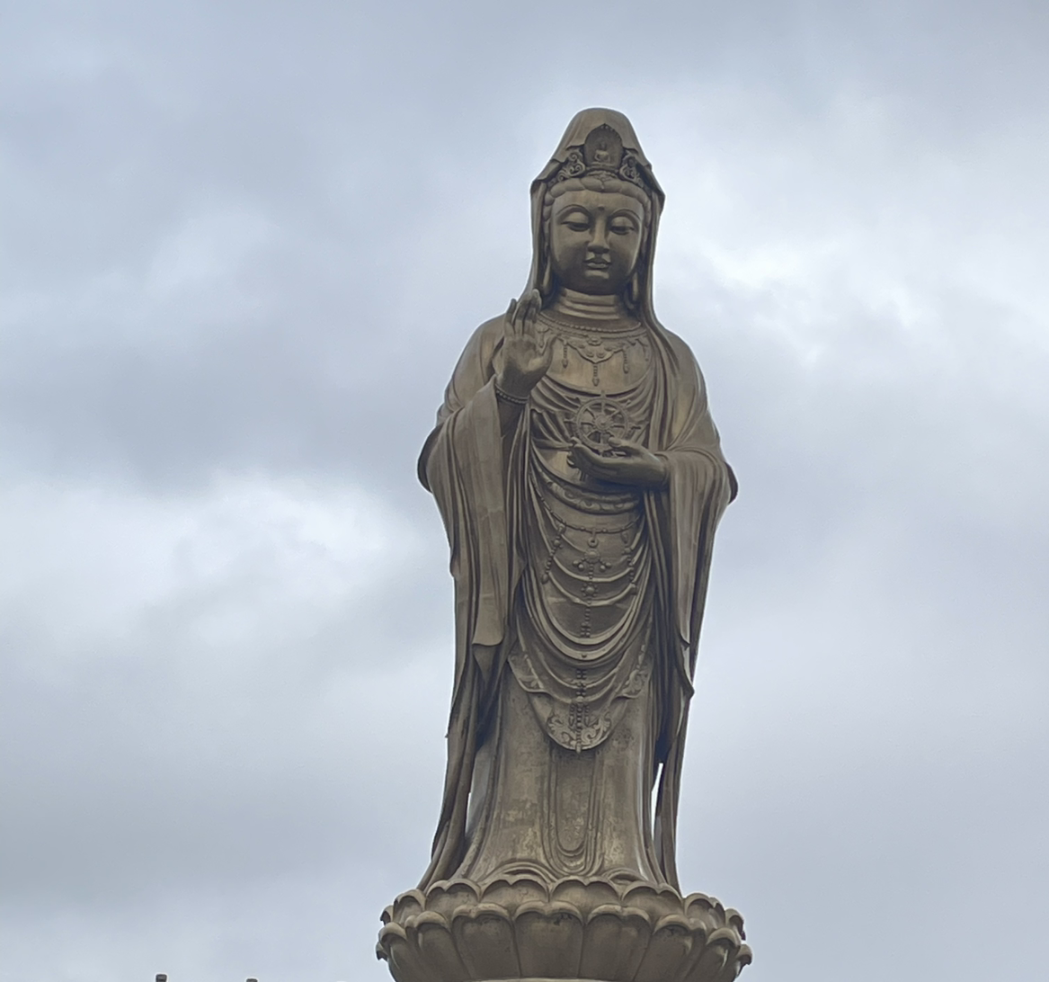 123走起来吧