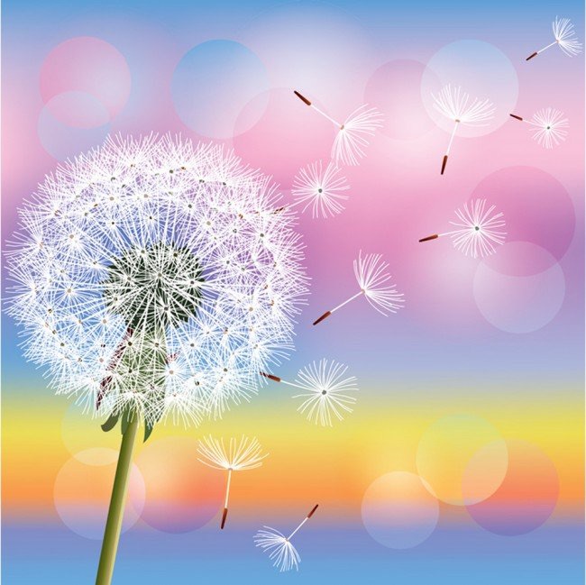 Dandelion77