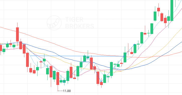 Source：Tiger trade app（请注意，案例仅是示例，并不构成对未来投资的建议。）