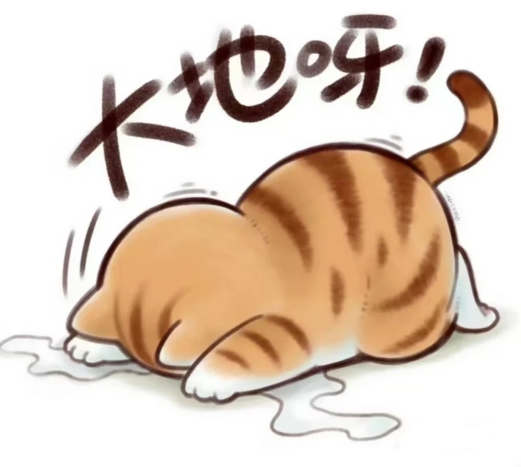 对的对的