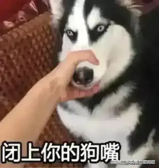 蛋总大牛