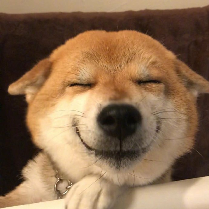 你猜我是谁哦