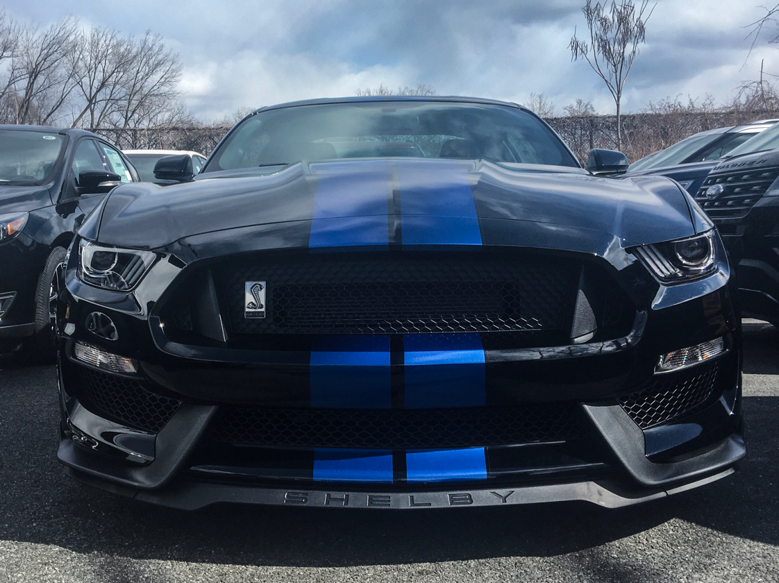 Shelby