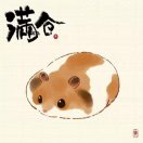 不会哭的眼_7905