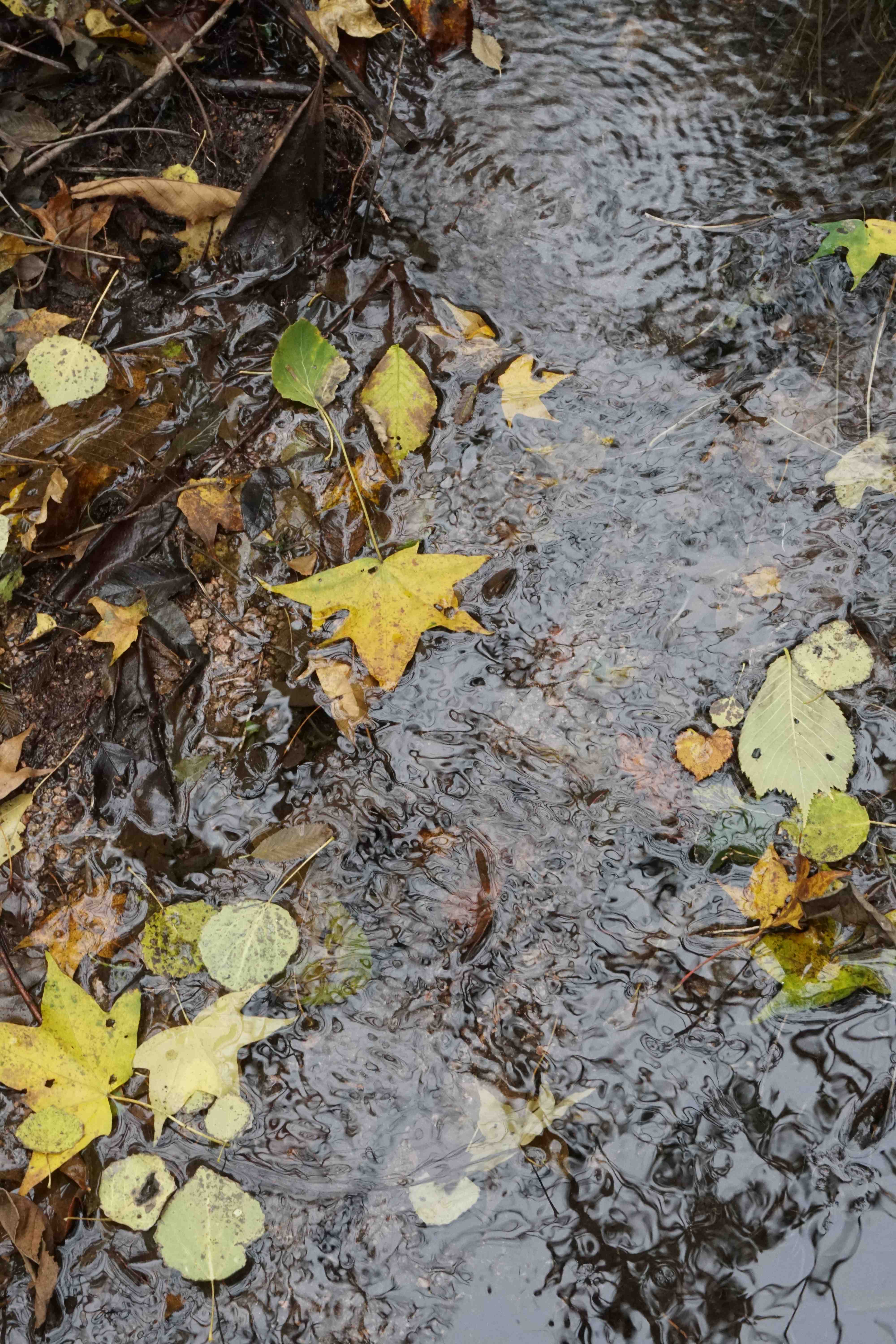 氤氲润泽