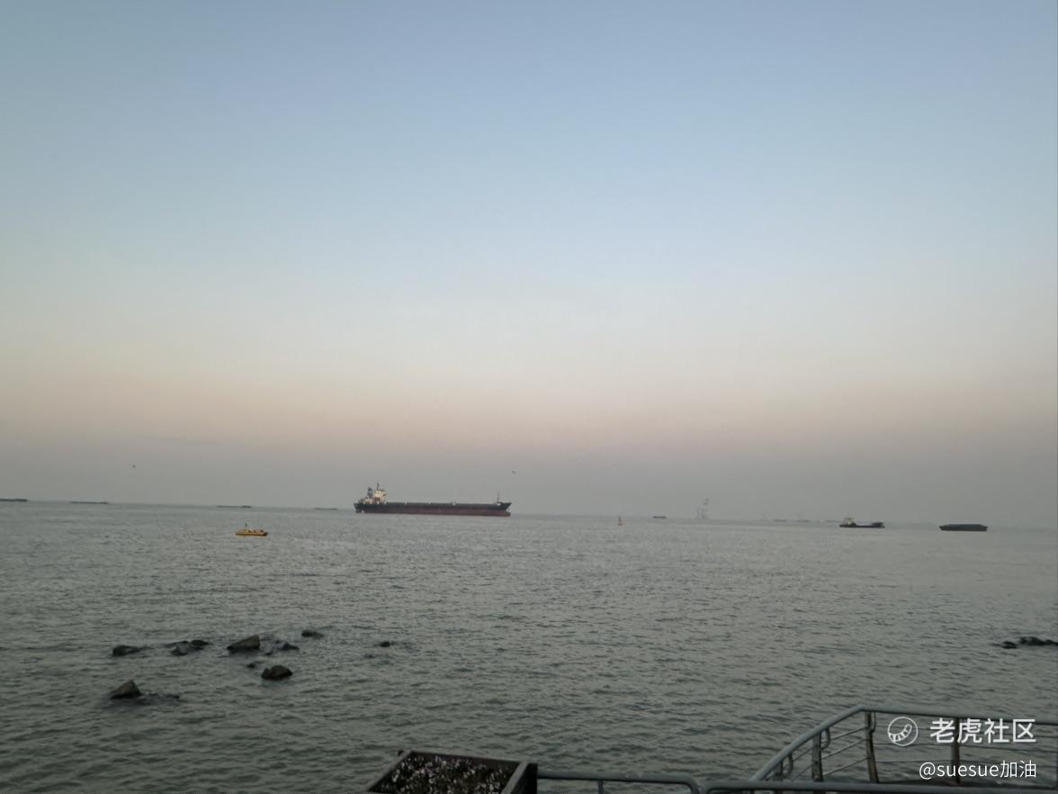 suesue加油
