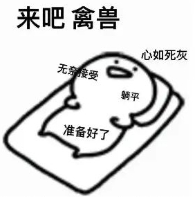 这是什么车