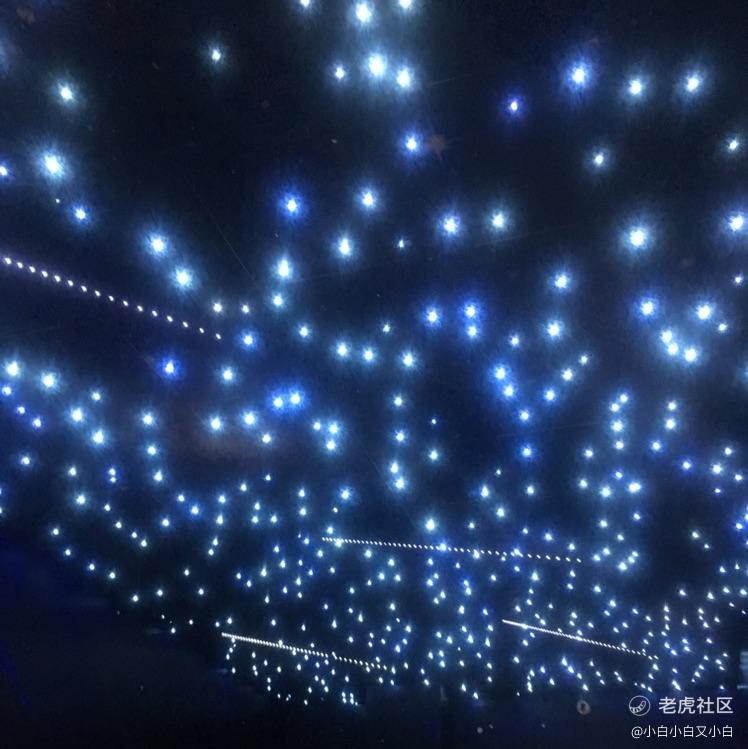 小白小白又小白