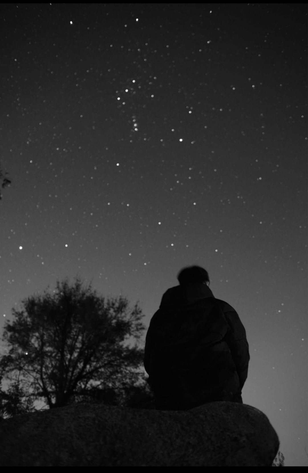 仰望星空ZZ