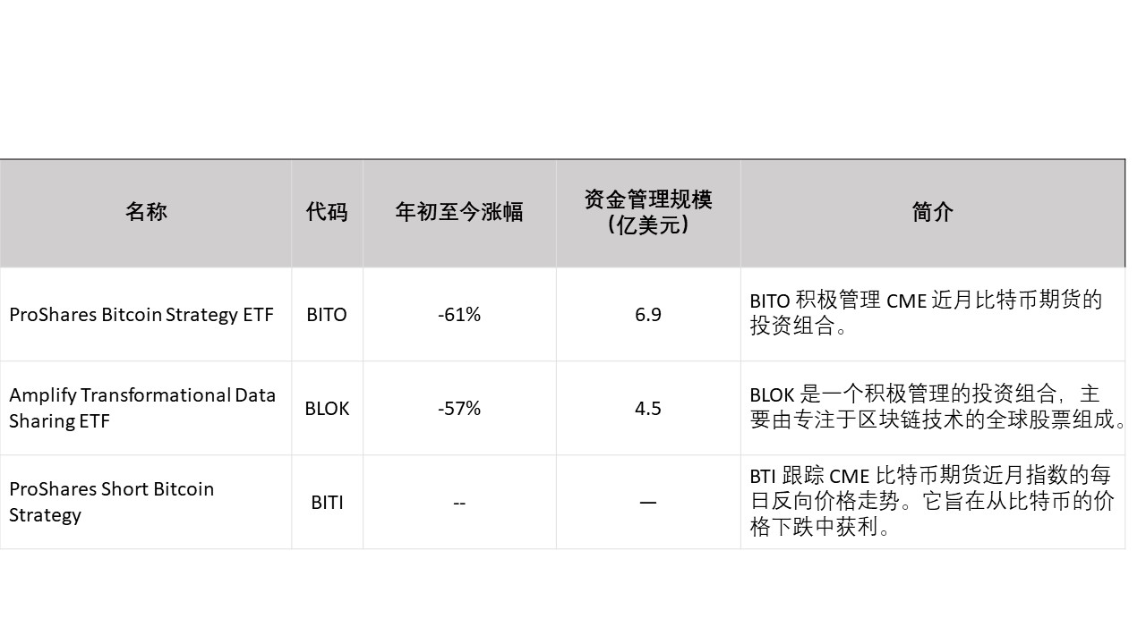 新加坡比特币基金_比特币基金ETF_陆家嘴比特币套利基金