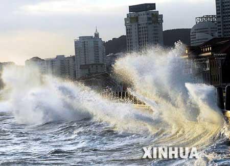 逆风过大浪