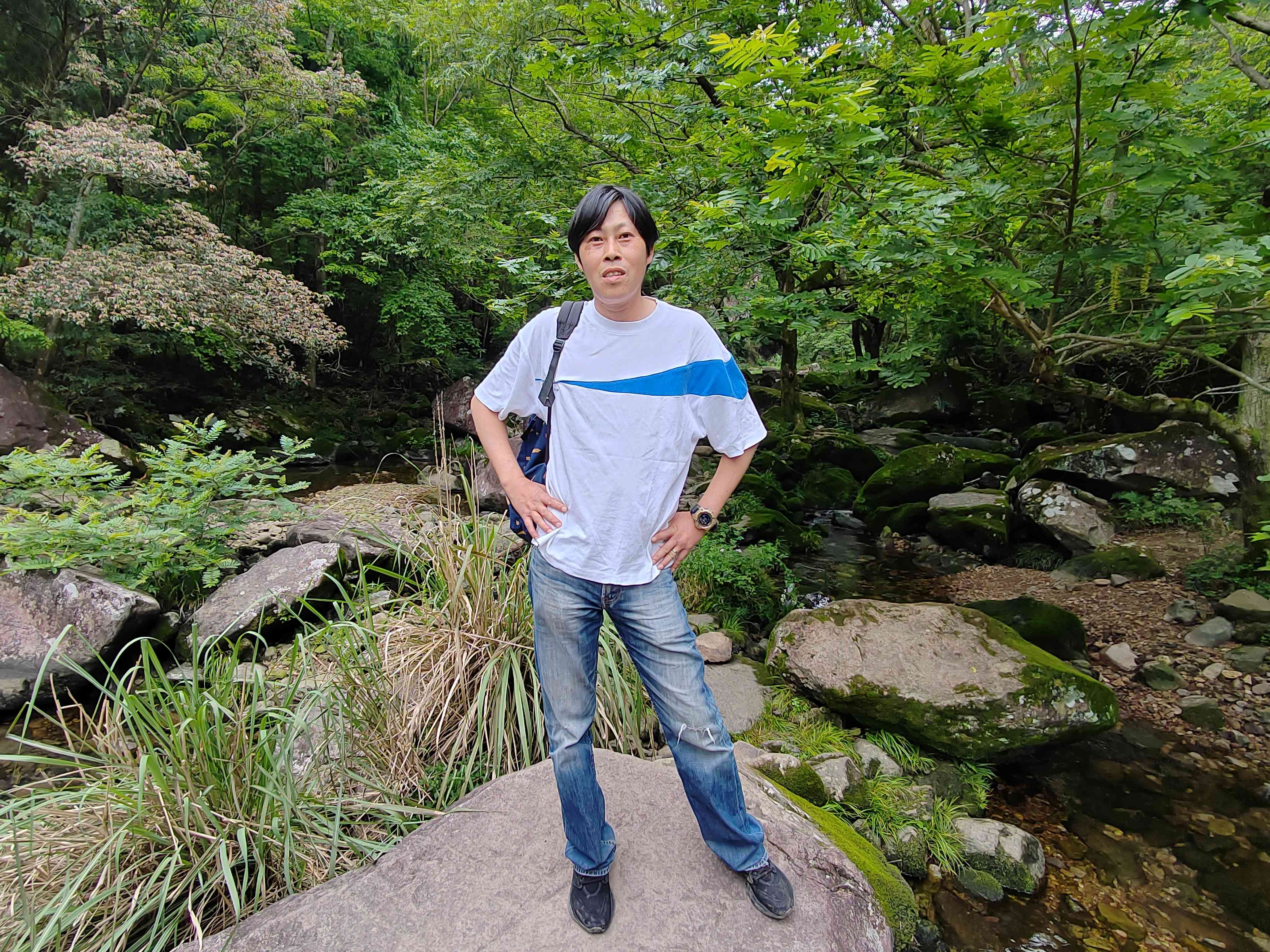 千里草2019