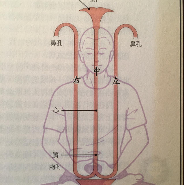 阳光11