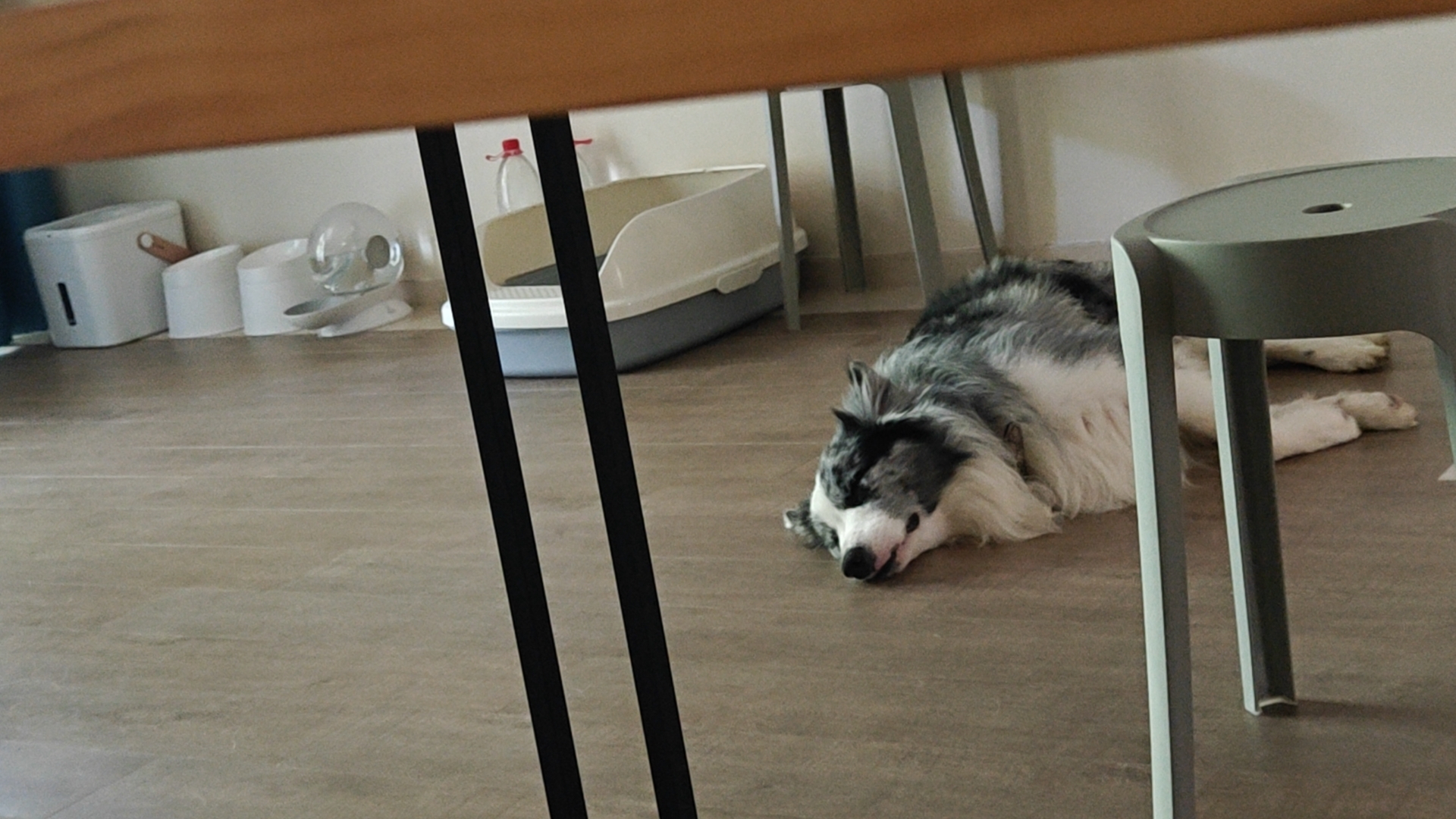 呵呵呵呵呵呵嗝