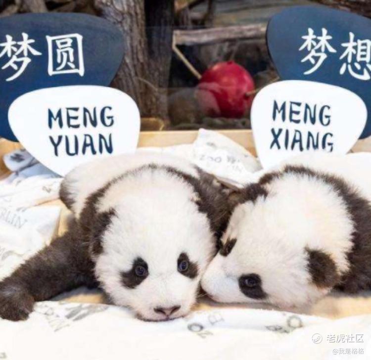 活下去才是最重要的