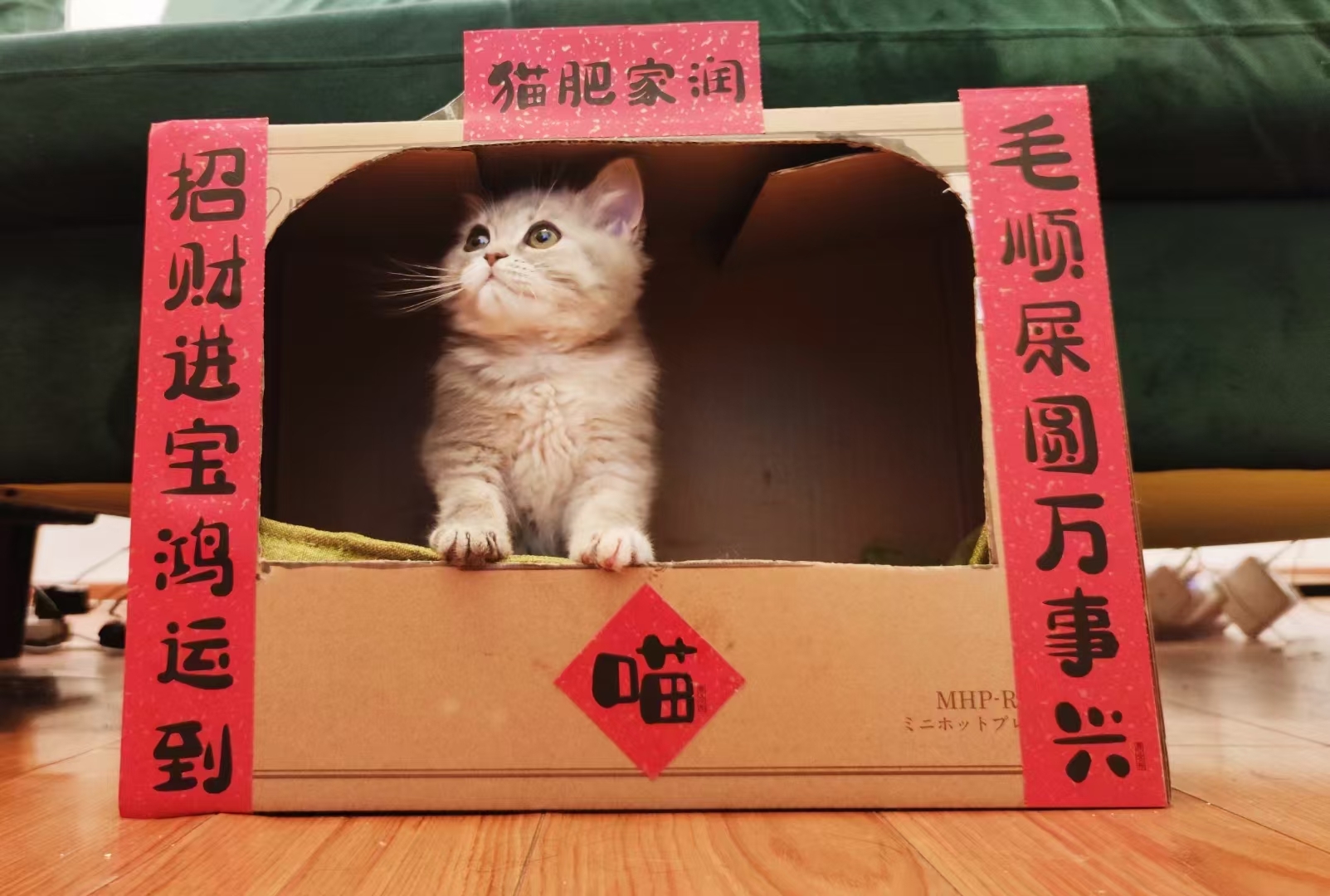 美联储_钟土猫