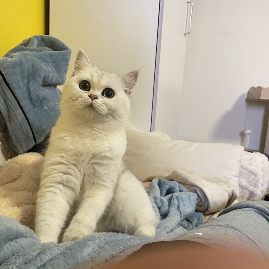 裹紧我的小被子