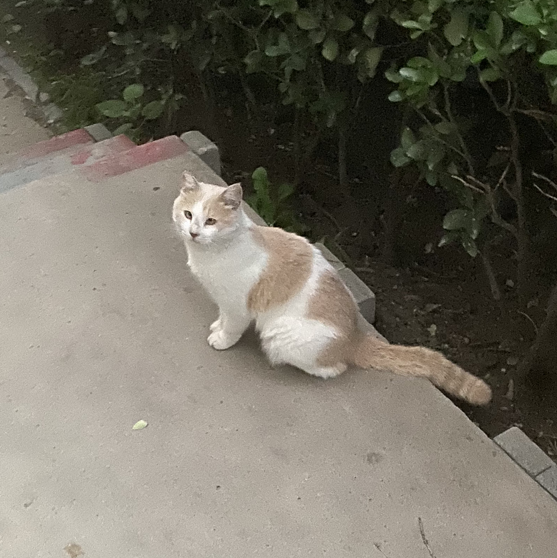 稳吗