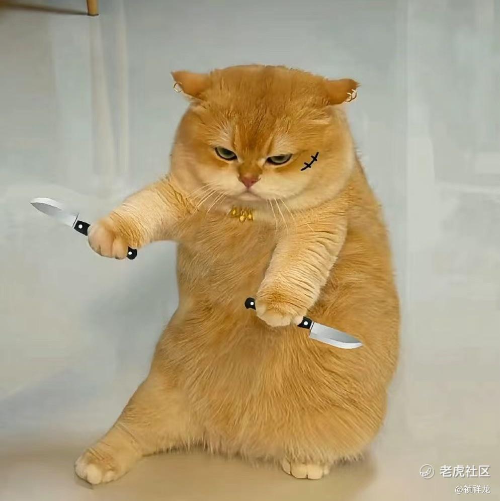 祯祥龙
