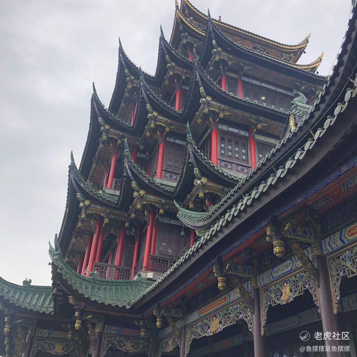 我是大鲨鱼