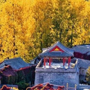 佳嵘的天空