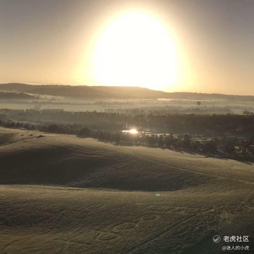 迷人的小虎