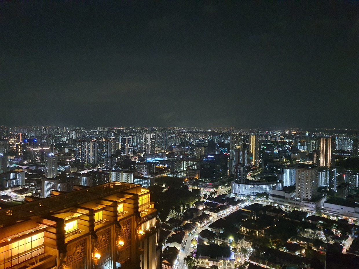 努力學習的韭菜