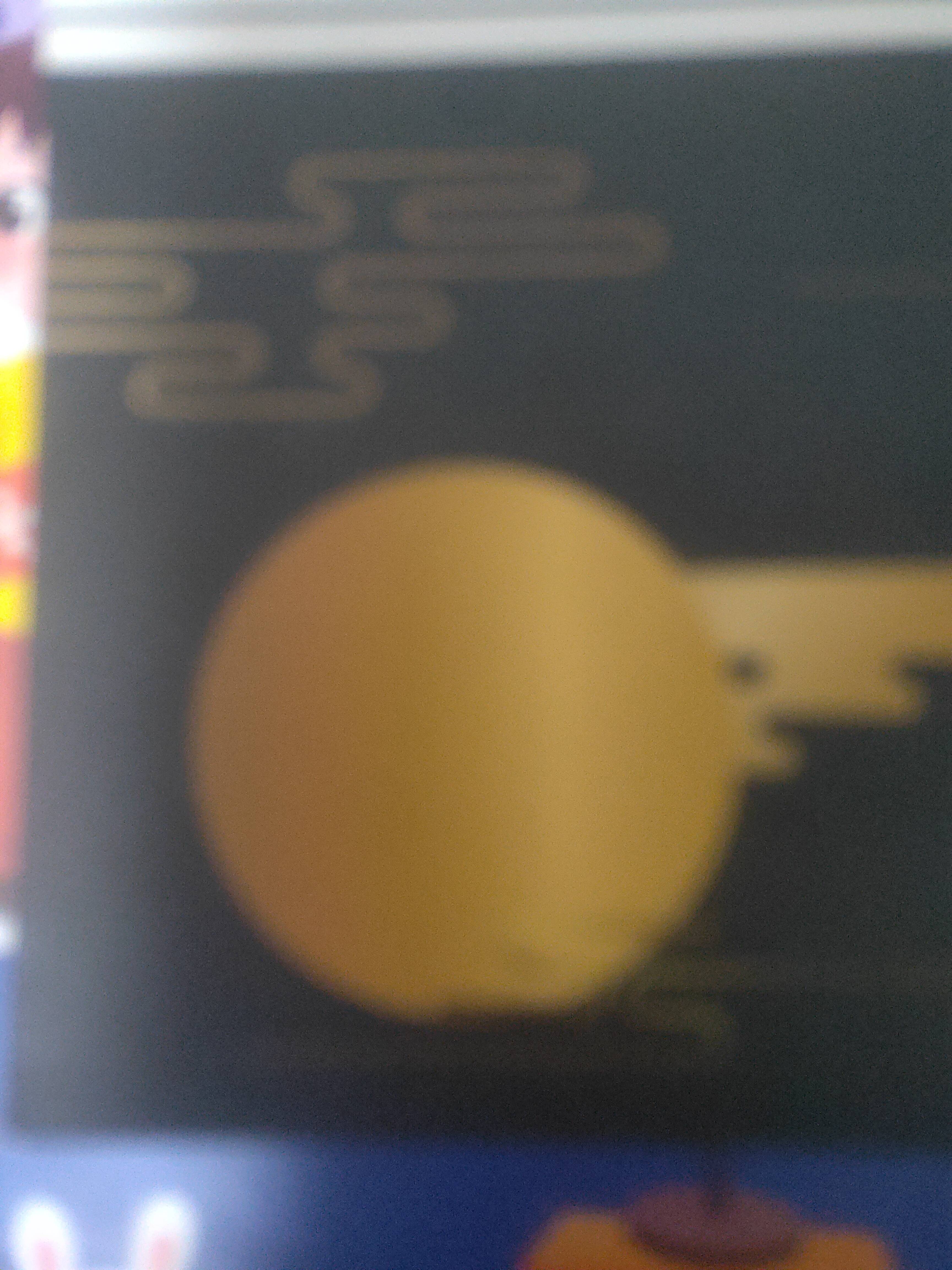 机灵鬼小李子