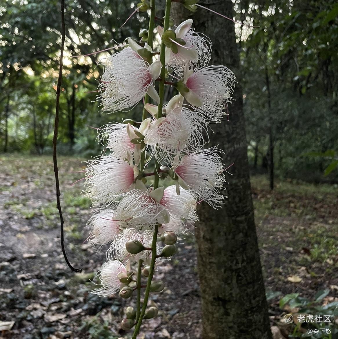 森下悠