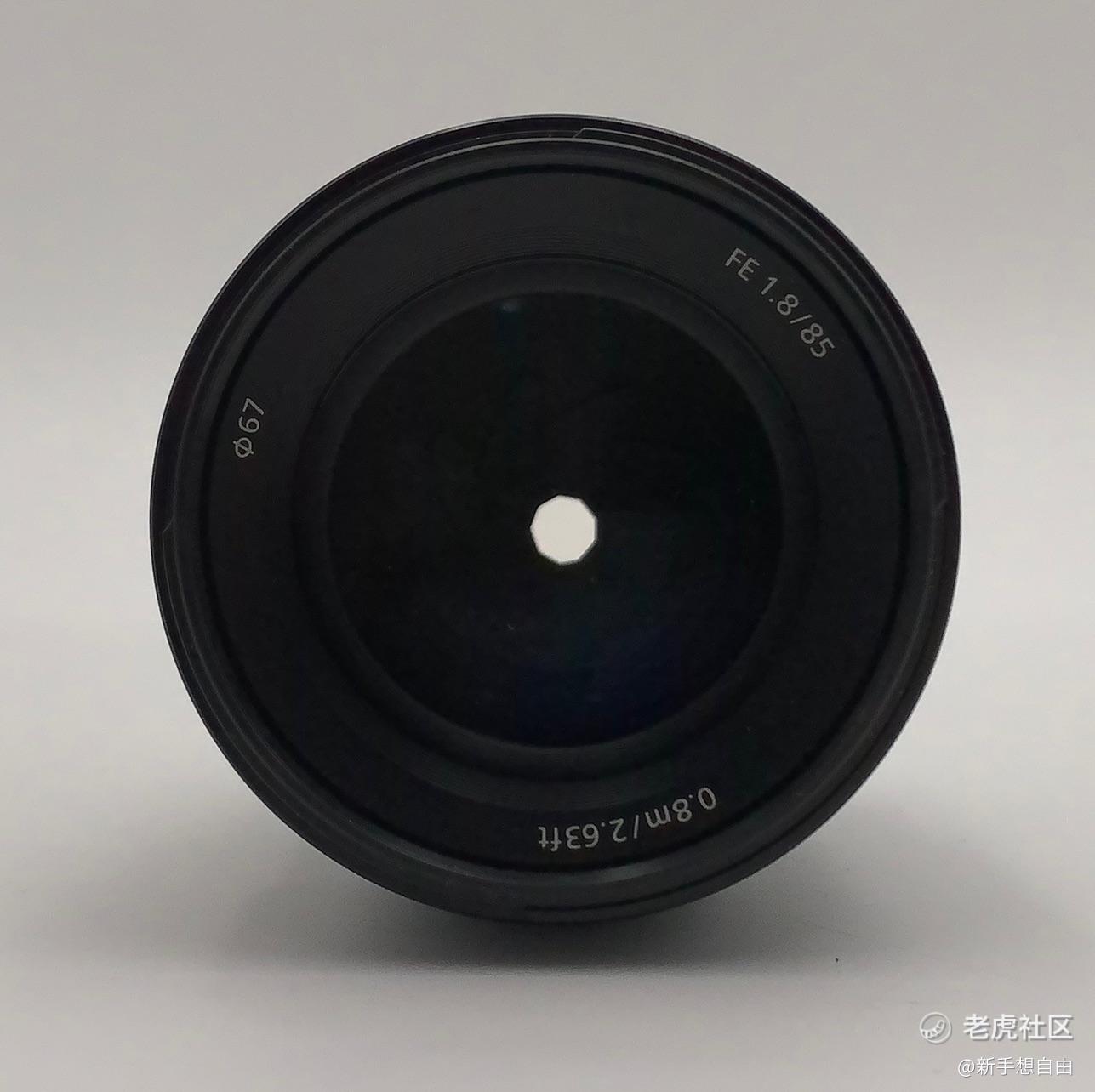 新手想自由