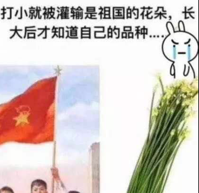 买的都赚