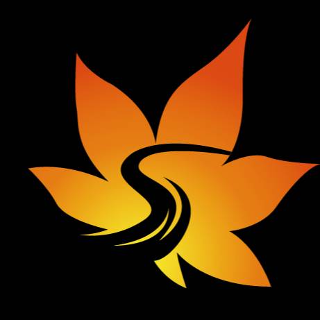 加拿大的小枫叶