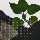 回到原点瑞