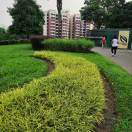 前路坎坷不言弃_5393