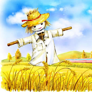 芒不讲理的芒果