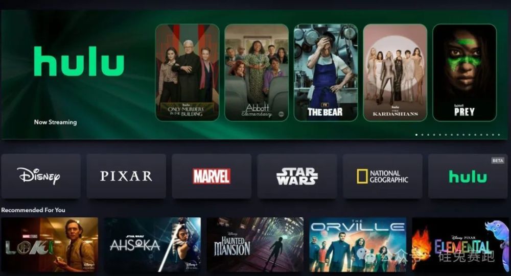  Hulu on Disney+