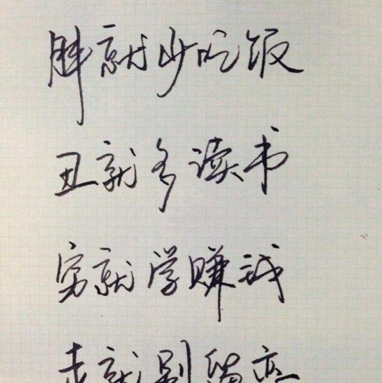 随缘毛毛