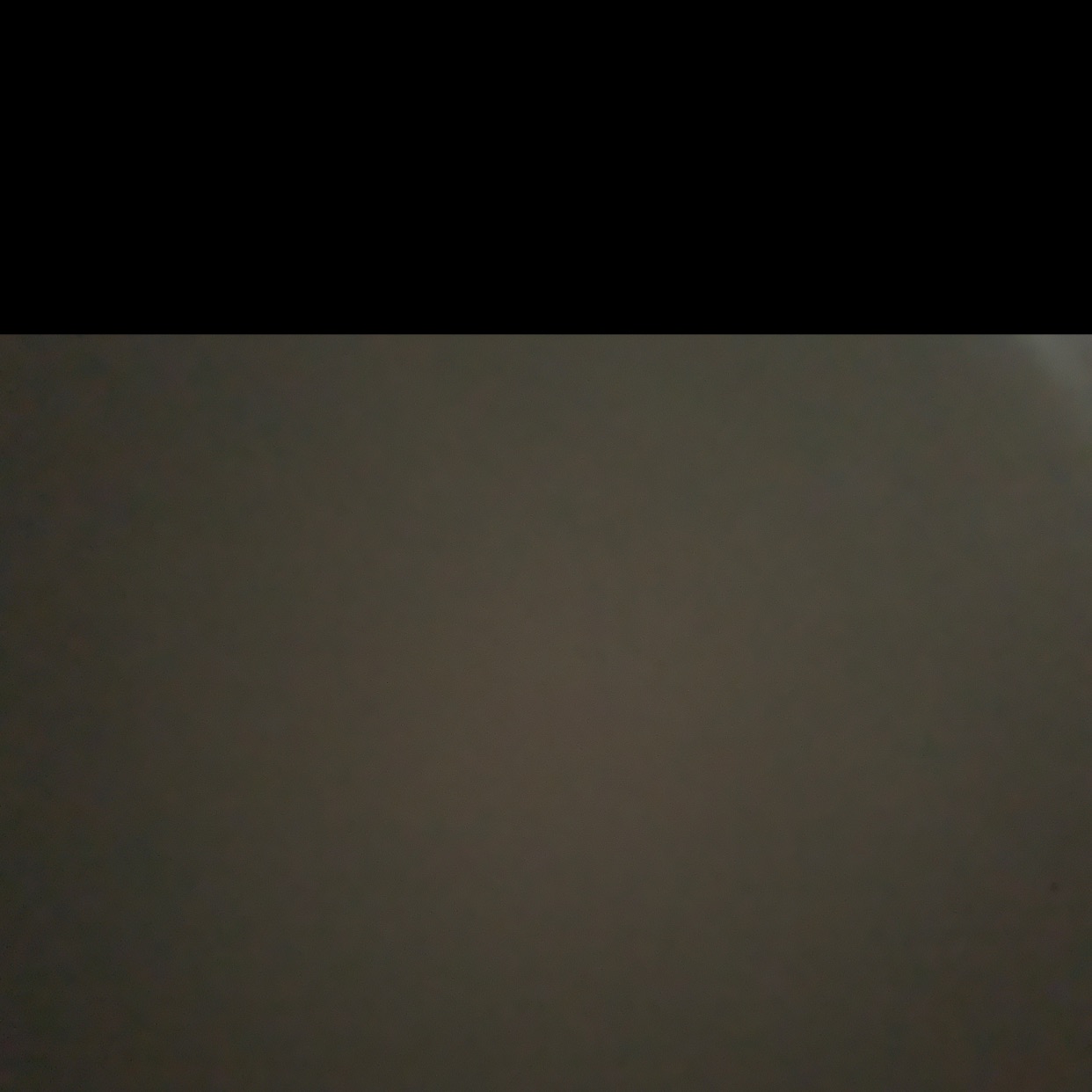 旋舞