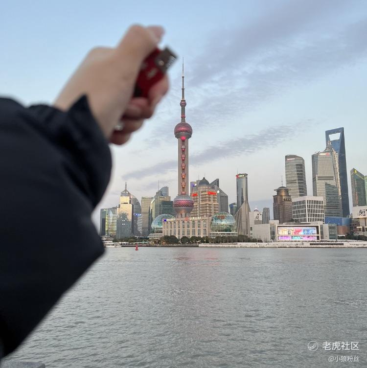 小狼粉丝