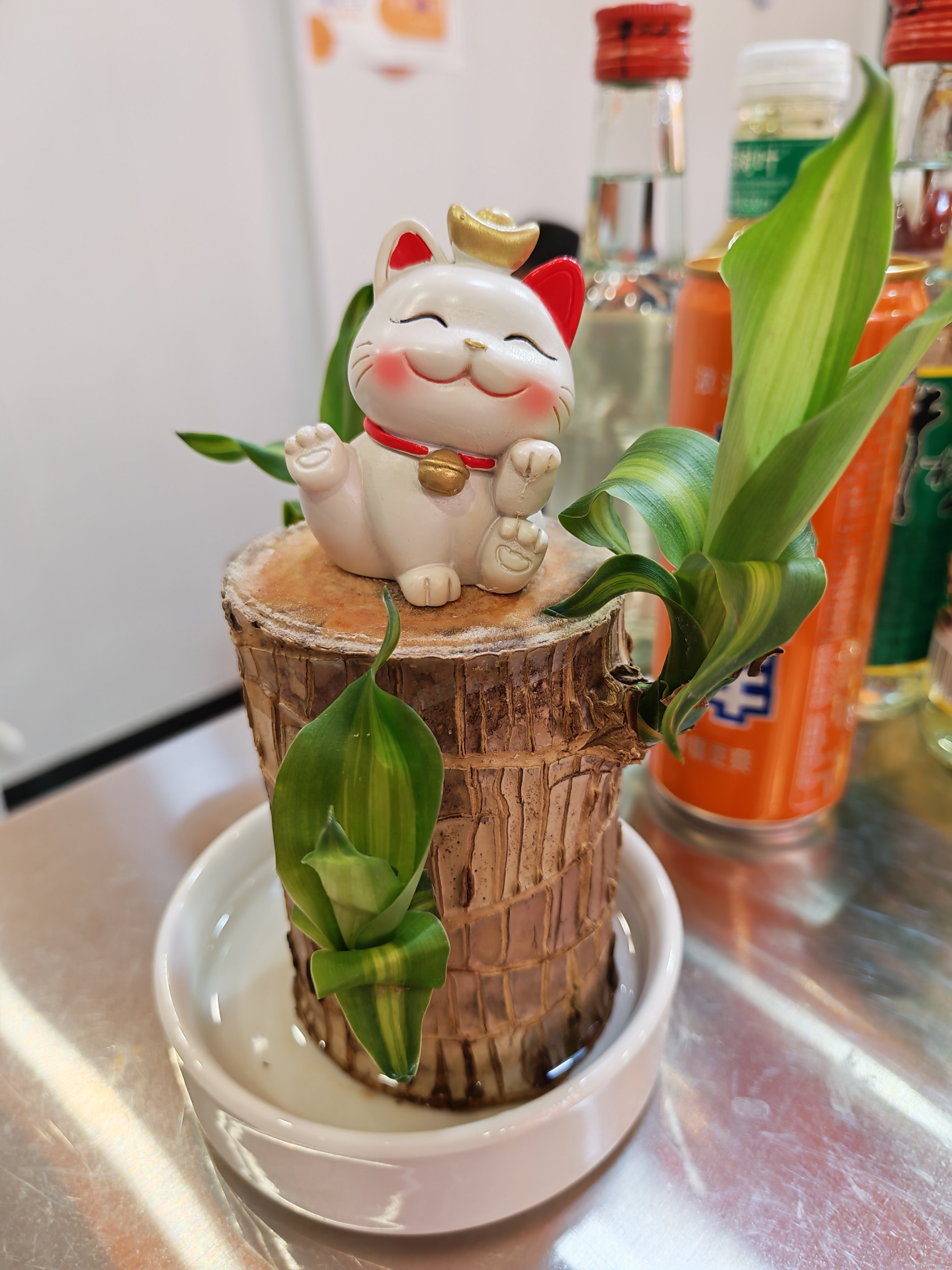 王侯
