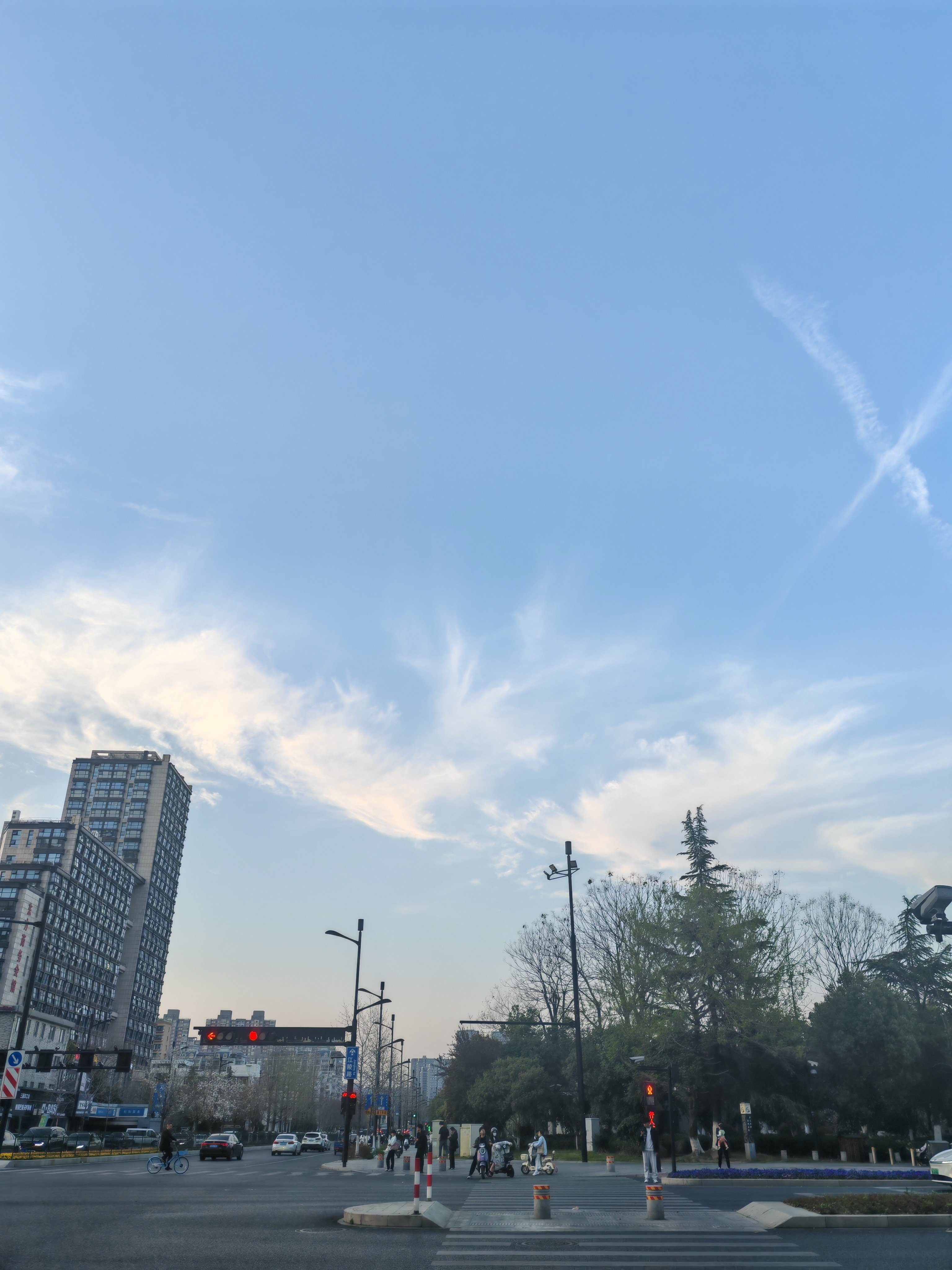 生草林子
