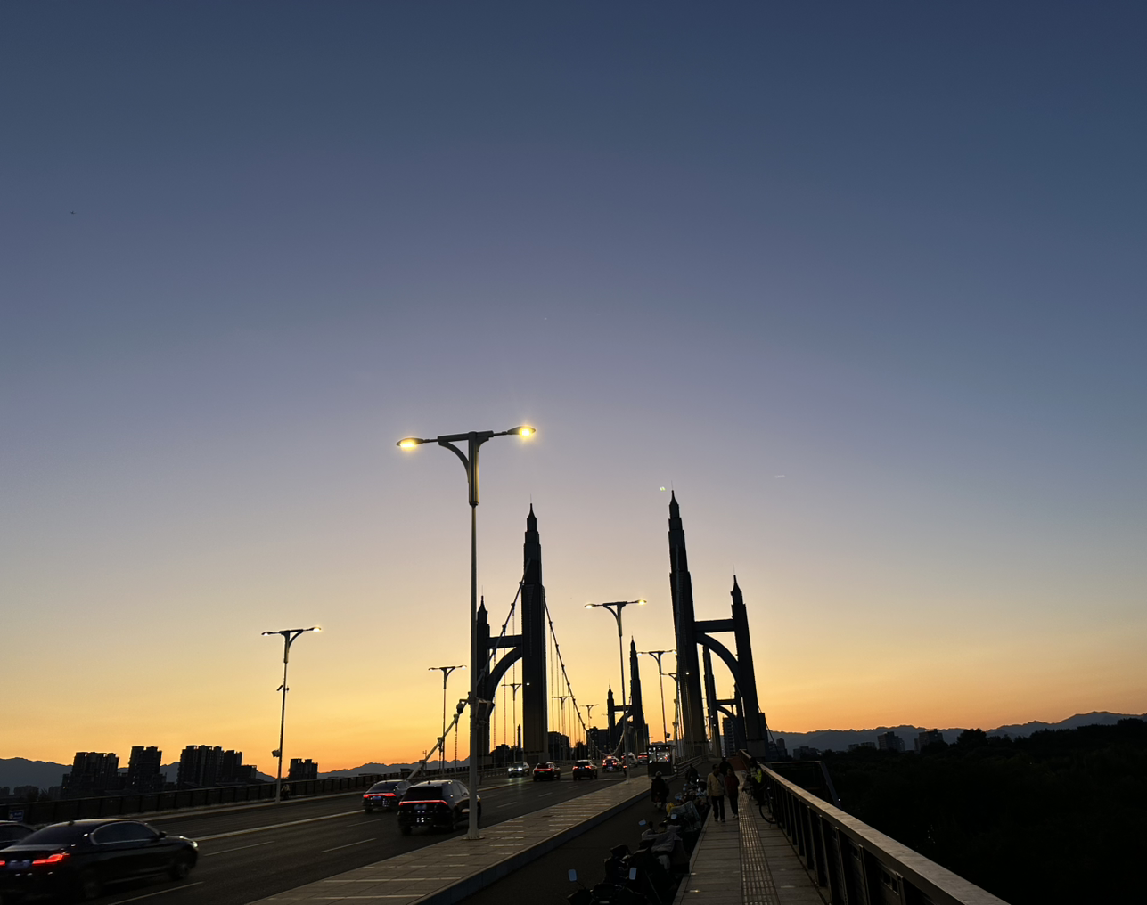 刚冒芽的韭黄online