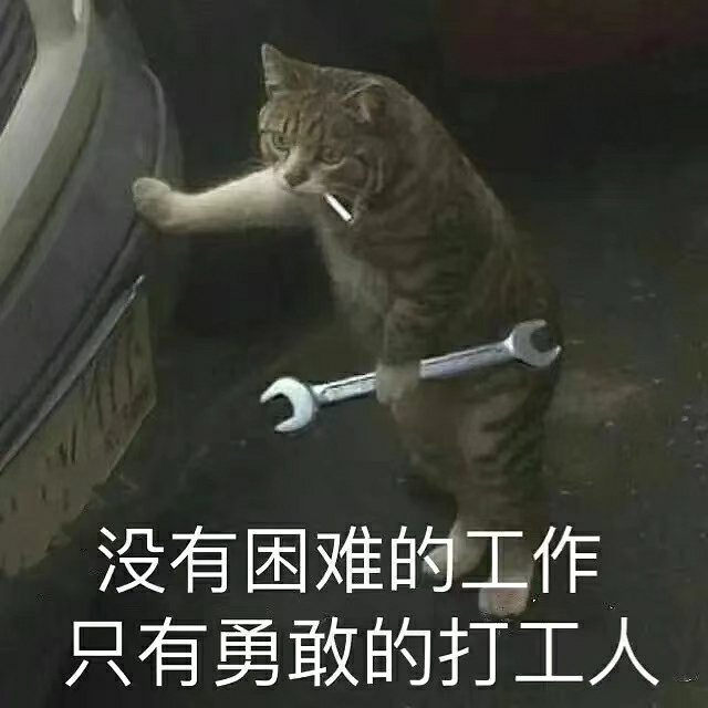 孤寂花落