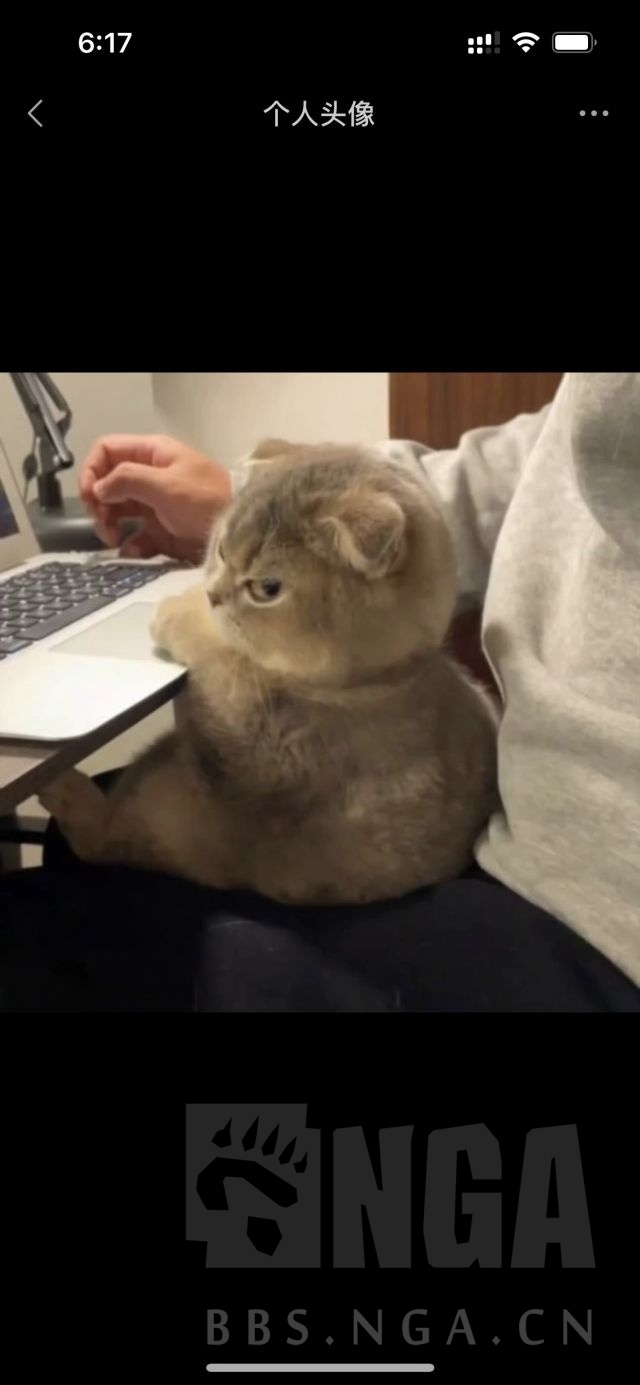 寂静沉默